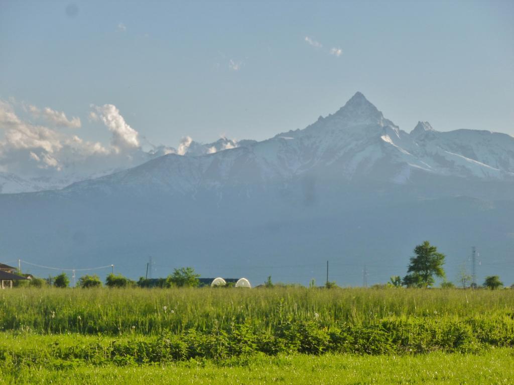 Tenuta Ajrale Vigone Exteriör bild