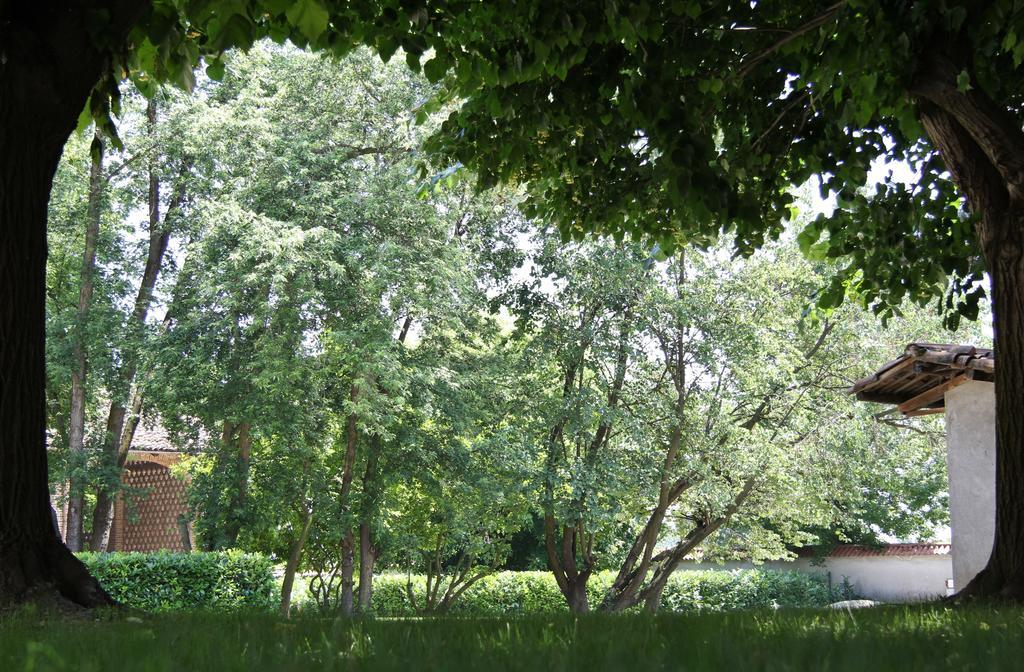 Tenuta Ajrale Vigone Exteriör bild
