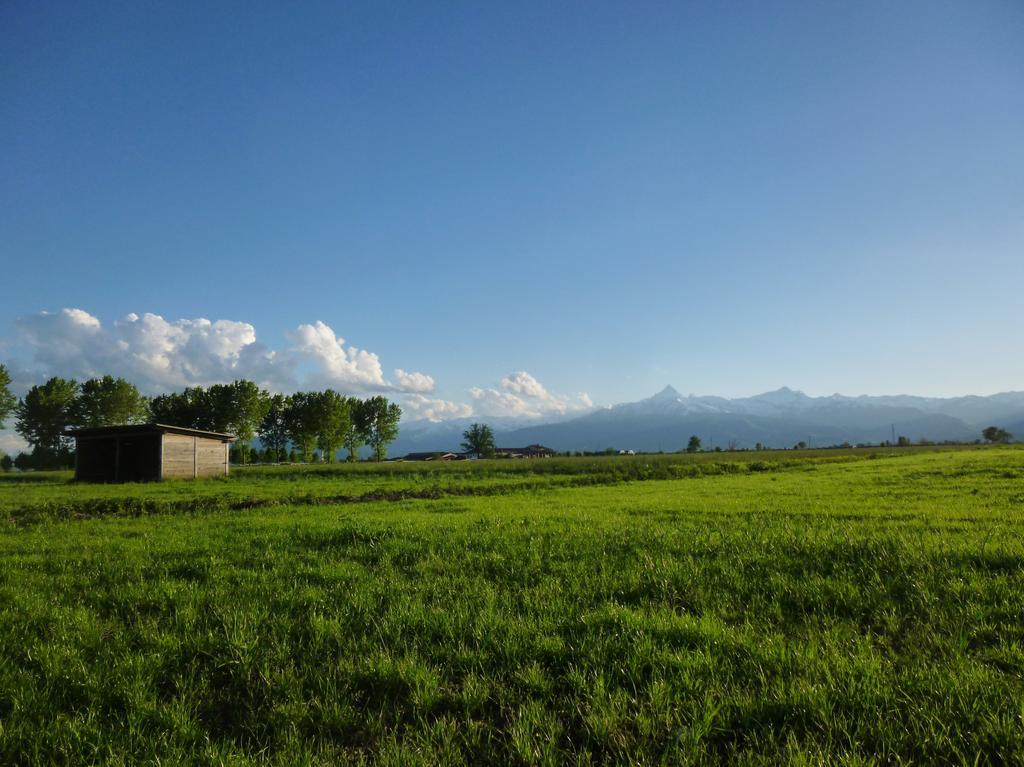Tenuta Ajrale Vigone Exteriör bild